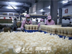 直擊復工｜釋放60%產能 山東雪榕日供鮮菇260噸 ()