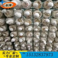 猴頭菇出菇網格 平菇出菇房網架 香菇鋼管層架 金針菇養殖架