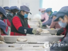 畢節：大方雪榕復工 每天上市食用菌120余噸 ()