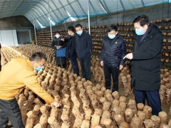 邢臺市場監管局在復工復產中幫農戶銷售蘑菇 ()