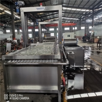 魚類解凍機 肉類解凍機 凍肉解凍線 解凍機廠家