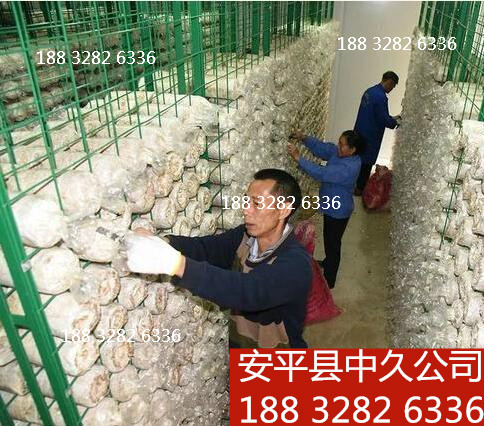 養殖架子