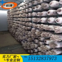 江西省綠色蘑菇網片 現代化大棚出菇網格架 食用菌規?；B殖架