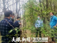 專家助力，冊亨縣確定首期2萬棒林下紅托竹蓀試點基地 ()