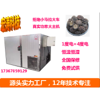 廠家定制熱風循環烘箱荔枝水果玫瑰金銀花烘干機 蘑菇農產品烘箱