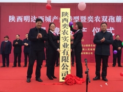 陜西首家工廠化種植雙孢蘑菇生產線在勉縣建成投產 ()