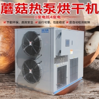 香菇熱泵烘干機 食用菌烘干設備 廠家直銷 1000斤