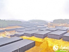 貴州銅仁：碧江建設“香菇小鎮”助力脫貧攻堅 ()