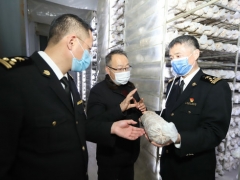 三門峽海關：助力企業復工復產 食用菌出口創新高 ()