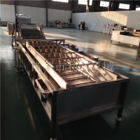草莓清洗機  芹菜高壓清洗機 不銹鋼果蔬氣泡清洗機廠家直銷
