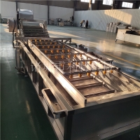 葉菜清洗機 果蔬清洗機設備 菠菜毛輥氣泡清洗機效果好