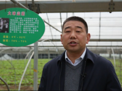 聚焦熱點  弘亞·2020第二屆中國大球蓋菇產業發展大會圓滿結束 ()