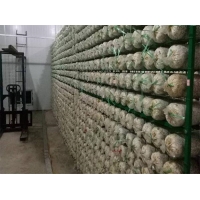 食用菌網架網格a吉林食用菌網架網格a食用菌網架網格廠家現貨
