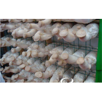 食用菌網架網格a湖北食用菌網架網格a食用菌網架網格生產廠家