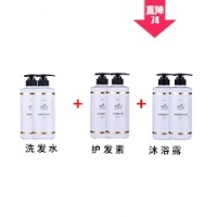 醫治不愈春芝堂茶樹菇食用菌助您身強體健