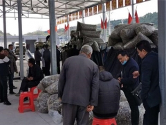 湖北十堰香菇小鎮正值農忙 疫情期間香菇銷售280萬斤 ()