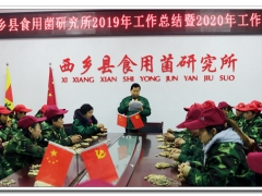 2019春森菌業年產菌種超過300萬袋（瓶），擴建近40畝，經營再創歷史新高 ()