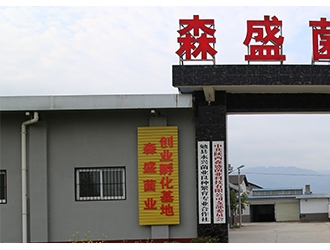 陜西森盛菌業有限公司傾情贊助2020中國天麻產業網絡大會 ()