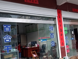 霍山縣衛民百合農民專業合作社理事長鄭為浩將出席2020中國天麻產業網絡大會 ()