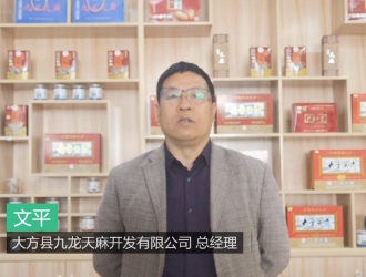 大方縣九龍天麻總經理文平出席2020中國天麻產業網絡大會并作報告 ()