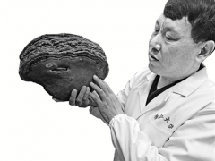 擁有一座菌菇博物館 浙大“蘑菇”學者開課科普多彩菌菇世界 ()