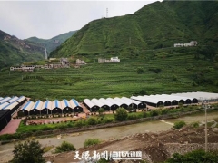 探秘！食用菌發展中的菌農期待與產業鏈回應 ()