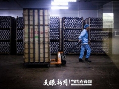 紫云：食用菌產業帶富“吹糠見米” ()