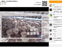 新技術 新格局 新形式：國鑫裝備·2020中國香菇產業網絡大會圓滿召開 ()