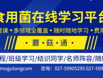 蘑菇通：搭建線上學習平臺 提升食用菌專業技能 ()