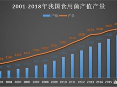 食用菌市場研究：主導全球70%產量的食用菌，工業化種植卻不足10% ()