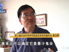 “墻角長蘑菇嚇哭女業主”后續：國家級菌菇專家帶你走近科學 ()