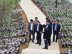 貴州省農業農村廳赴劍河縣指導食用菌產業發展和高標準農田建設工作 ()