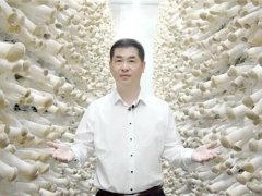 縣委書記路斌為道真食用菌代言！ ()