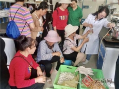 引導農民種植食用菌“發家致富”昆明五華區這樣操作 ()
