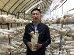 學機械的種起了蘑菇，膠州小伙跨界創業年產值三千多萬出口多國 ()