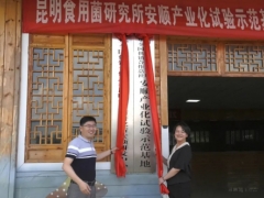 中華全國供銷合作總社昆明食用菌研究所安順研發中心揭牌 ()