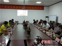 革命老區廣西東蘭研討食用菌產業扶貧 ()