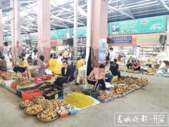 為菌瘋狂的時候到了！昆明野生菌大量上市 干巴菌最低300元/公斤 ()