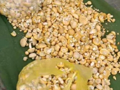 科學家研究發現：青?！包S蘑菇”果然是個好寶貝 ()