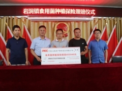 因暴風雨食用菌種植基地受損 人保財險及時賠付助復產 ()