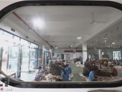 靖州：化危為機 闖出茯苓產業發展新路 ()