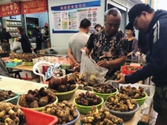 云南野生菌大量上市，松茸、雞樅供不應求！中毒現象也層出不窮 ()