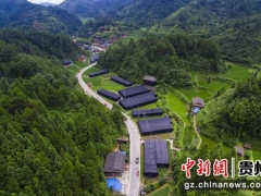 貴州臺江：香菇產銷旺 農民喜增收 ()