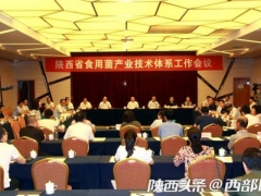 木耳香菇等特色食用菌產業咋發展？陜西在柞水定下了這些新舉措 ()