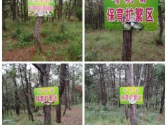 云南曲靖馬龍區建成千畝野生菌保育擴繁基地 ()