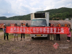 復工復產后 云南景東首車香菇運往上海 ()