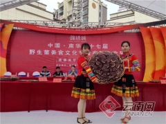 “巨無霸”菌王亮相中國·南華第十七屆野生菌美食文化節 ()