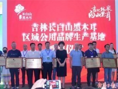 “吉林長白山黑木耳”區域公用品牌唱響農博會 ()