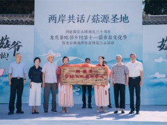 龍泉龍南鄉：以香菇為契，助推美麗城鎮“產業美”建設 ()