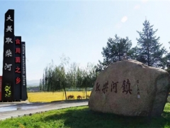 磐石市2020年“中國農民豐收節”暨取柴河蘑菇節通知 ()
